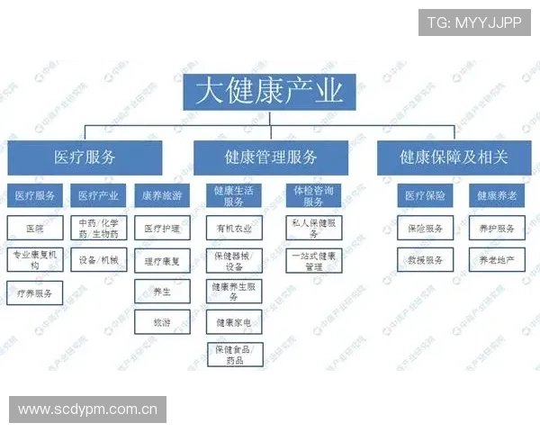 亚波体育市场前景：体育行业数字化发展趋势与未来增长潜力分析
